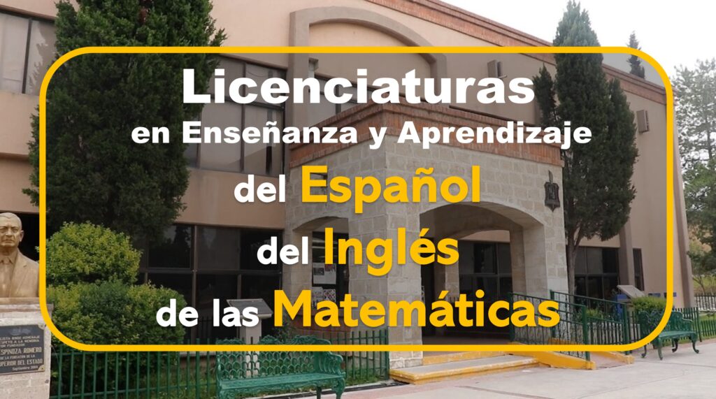 Imagen5